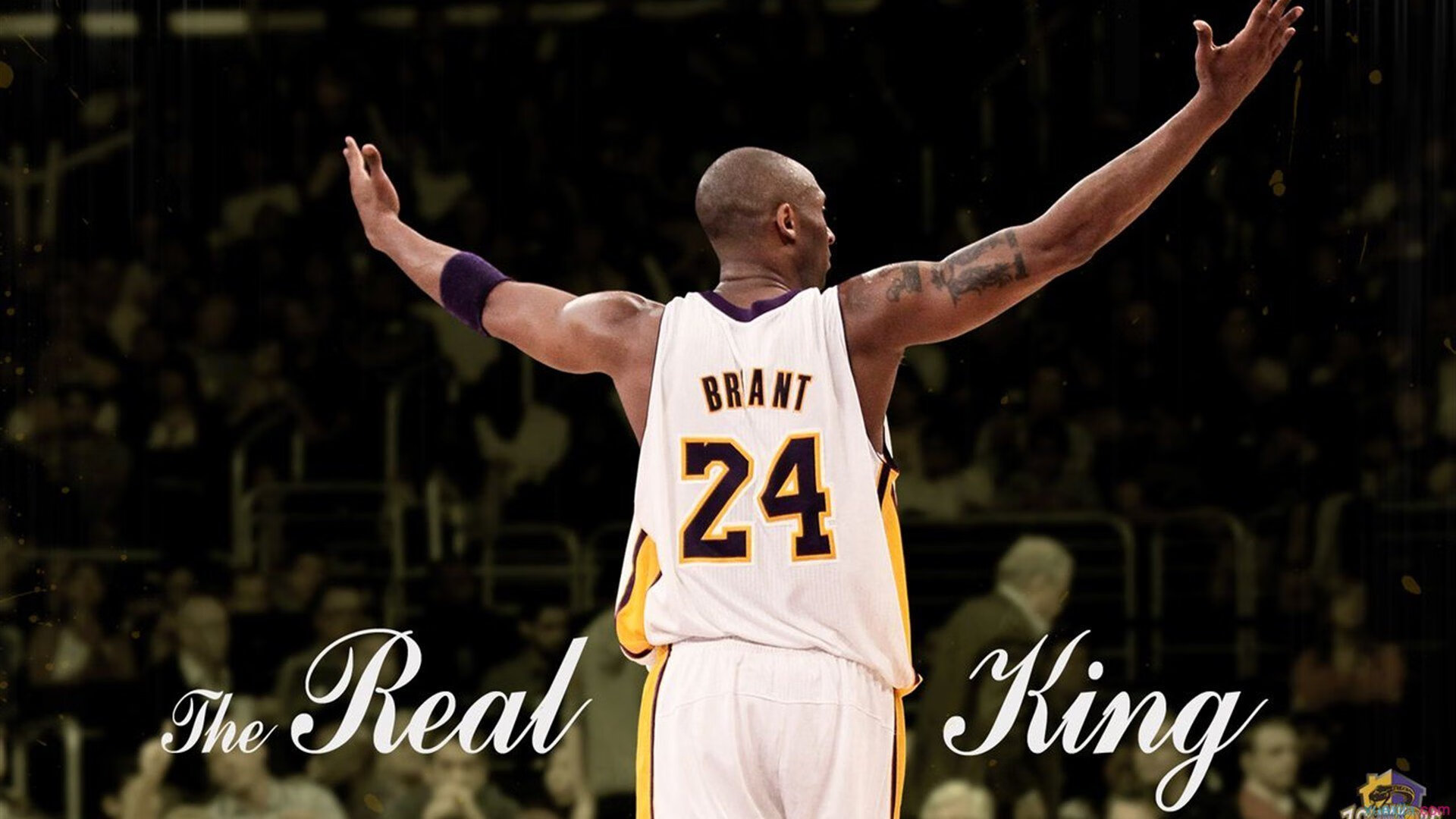 2026世界杯:场馆融合未来科技,观众体验空前提升,2026年世界杯球场